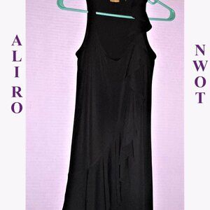 NWOT ALI RO BLACK SLEEVELESS DRESS THAT IS A SIZE 0 GENEROUS STRETCH🌹